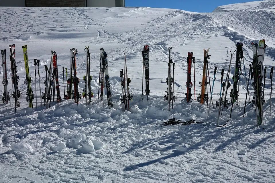 滑雪杖滑雪屐進口清關(guān)，滑雪用具進口進保稅倉流程，2022新版跨境電子商務(wù)零售進口商品清單