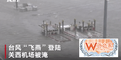 出口日本的注意了！臺(tái)風(fēng)飛燕橫掃日本，港口淹沒集裝箱一片狼藉！船期或受影響！貨之家